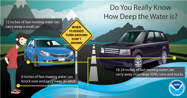 turn around don't drown.png